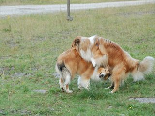 2009-08-15_ntb_5077