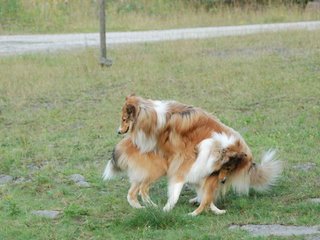 2009-08-15_ntb_5078