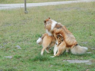 2009-08-15_ntb_5079