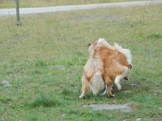 2009-08-15_ntb_5080