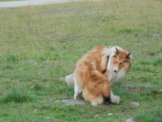 2009-08-15_ntb_5081