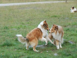 2009-08-15_ntb_5082