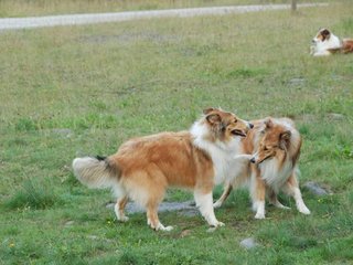2009-08-15_ntb_5083
