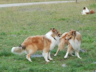 2009-08-15_ntb_5084