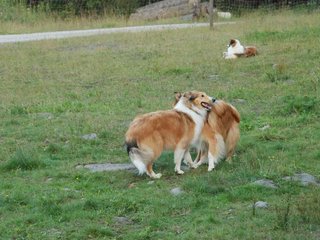 2009-08-15_ntb_5086