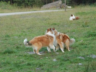 2009-08-15_ntb_5088