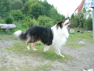 2009-08-15_ntb_5089