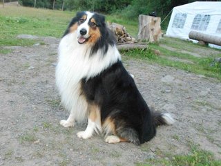 2009-08-15_ntb_5091
