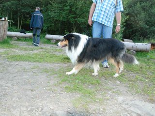 2009-08-15_ntb_5094