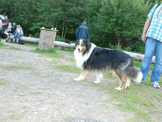 2009-08-15_ntb_5095