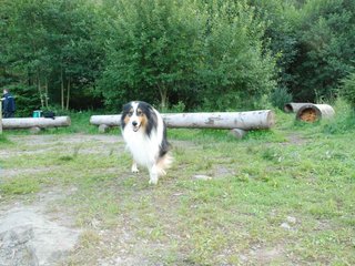 2009-08-15_ntb_5096