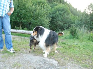 2009-08-15_ntb_5097