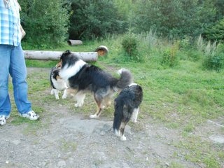 2009-08-15_ntb_5098
