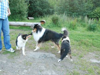 2009-08-15_ntb_5099