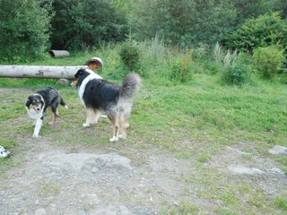 2009-08-15_ntb_5100