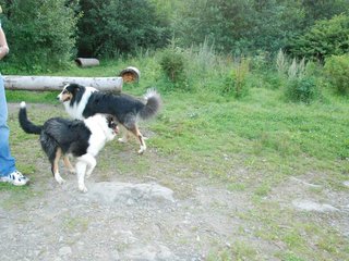2009-08-15_ntb_5101