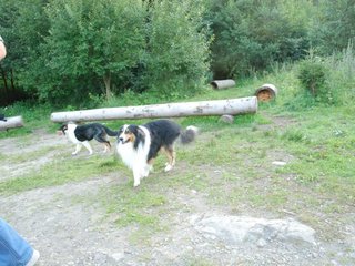 2009-08-15_ntb_5102