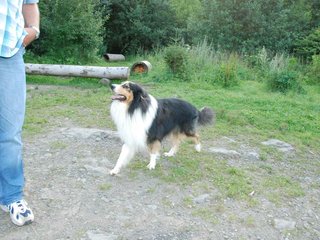 2009-08-15_ntb_5103