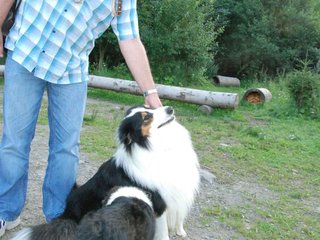 2009-08-15_ntb_5106