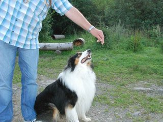 2009-08-15_ntb_5110