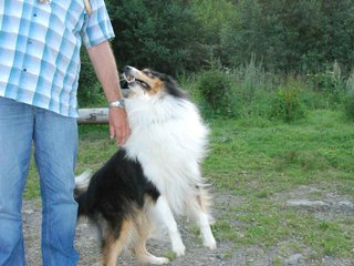2009-08-15_ntb_5111