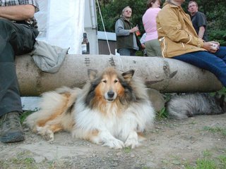 2009-08-15_ntb_5112