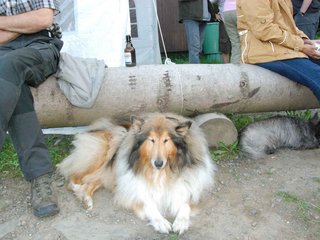 2009-08-15_ntb_5113