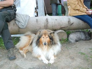 2009-08-15_ntb_5114