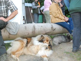 2009-08-15_ntb_5115