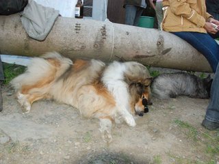 2009-08-15_ntb_5116