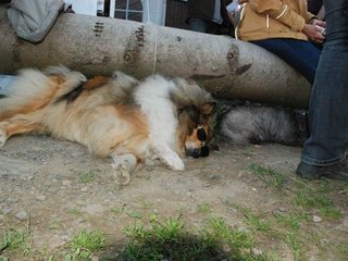 2009-08-15_ntb_5117