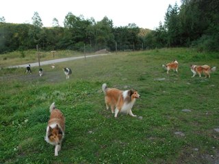 2009-08-15_ntb_5118