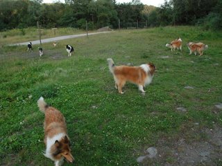 2009-08-15_ntb_5119