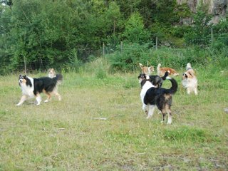 2009-08-15_ntb_5120