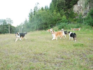 2009-08-15_ntb_5122