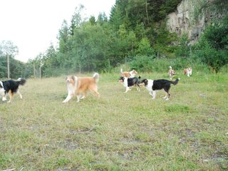 2009-08-15_ntb_5123