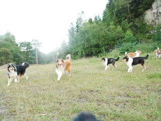 2009-08-15_ntb_5124