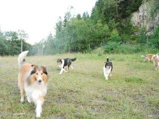 2009-08-15_ntb_5126