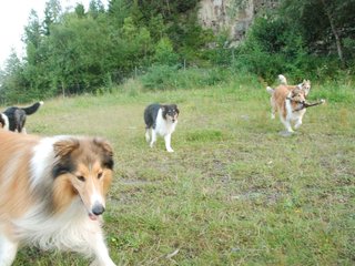 2009-08-15_ntb_5127