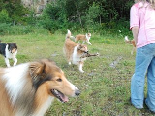 2009-08-15_ntb_5128