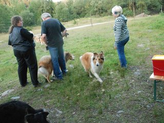 2009-08-15_ntb_5134