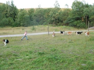 2009-08-15_ntb_5135