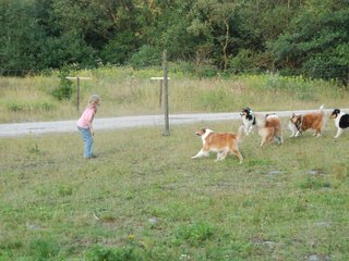 2009-08-15_ntb_5136