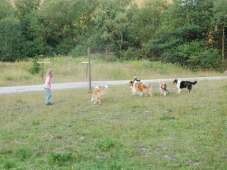 2009-08-15_ntb_5137