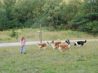 2009-08-15_ntb_5139