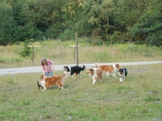 2009-08-15_ntb_5141