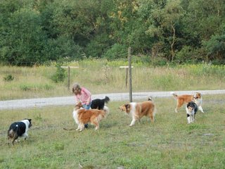 2009-08-15_ntb_5142