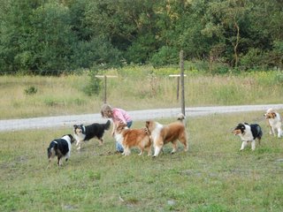 2009-08-15_ntb_5143