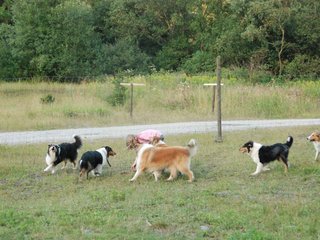 2009-08-15_ntb_5144