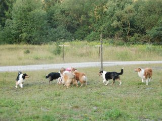 2009-08-15_ntb_5145